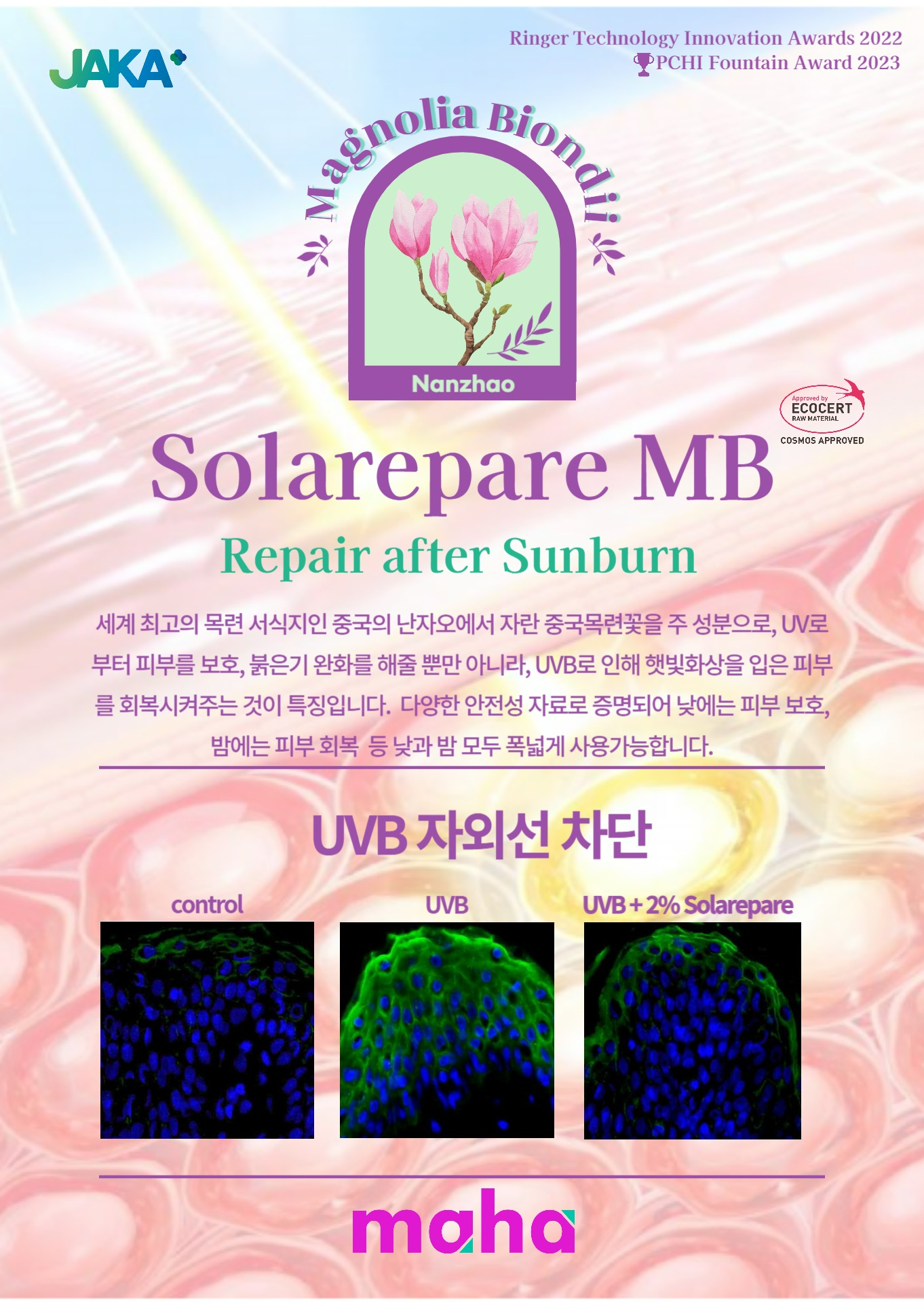 solarepare flyer